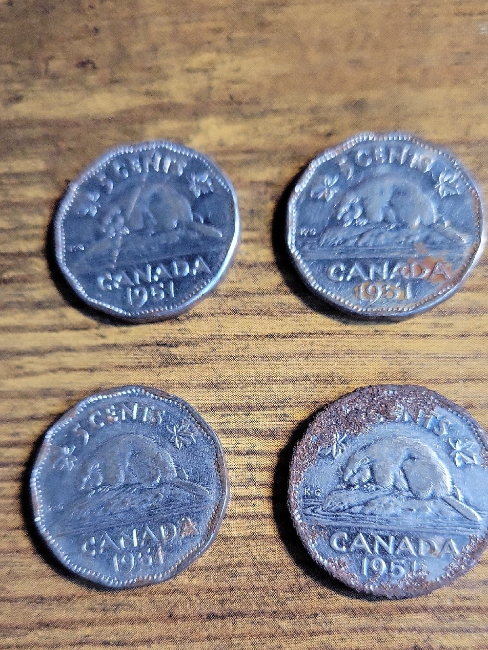 Set of Four (4) Vintage 1951 Canadian 5 Cents - Beavers (Silver Tone)